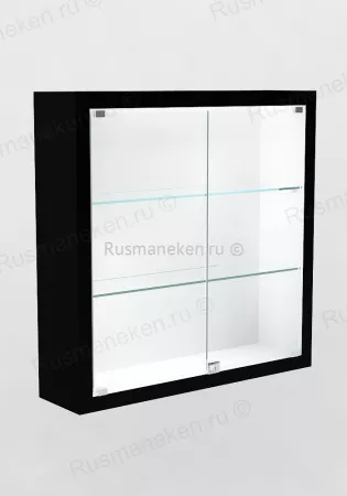 Музейная витрина \ VP-1