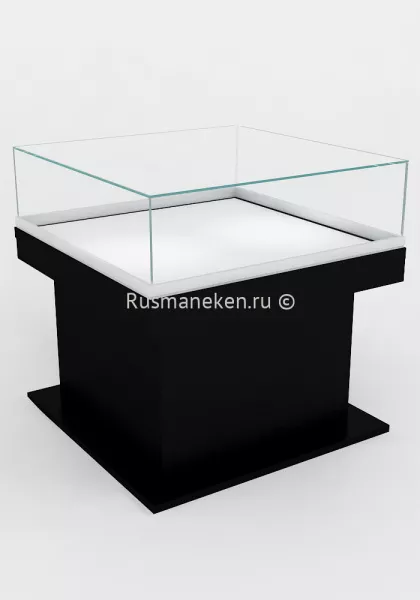 Витрина музейная на газлифтах \ VMG-13 Витрина музейная на газлифтах \ VMG-13