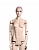 Шарнирные и гнущиеся