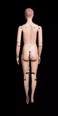 Женский шарнирный манекен \ Sharnir-FM01 Женский шарнирный манекен \ Sharnir-FM01