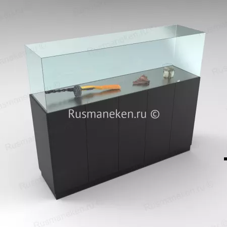 Музейная витрина \ VS-6