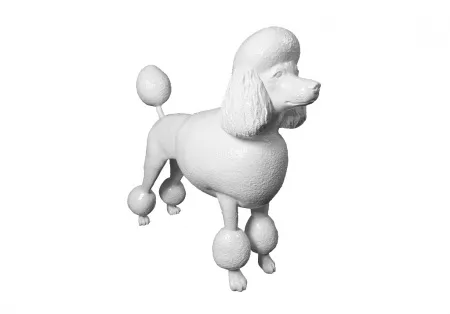 Манекен пуделя \ Dog-011