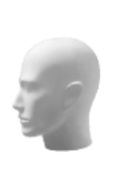 Демоформа - голова мужская \ head-tm