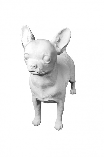 Манекен чихуахуа \ Dog-012