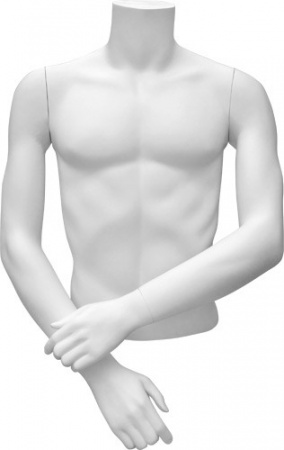 Торс мужской укороченный \ C-20