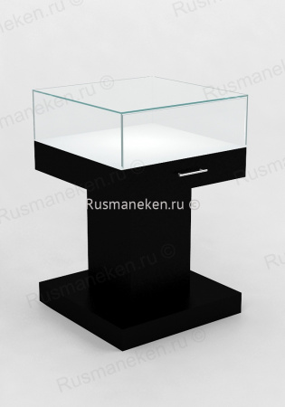 Музейная витрина \ PM-1