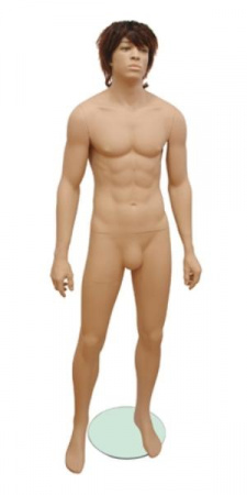 Мужской реалистичный манекен с париком \ MG-75