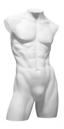 Торс мужской удлиненный \ BLTM-07