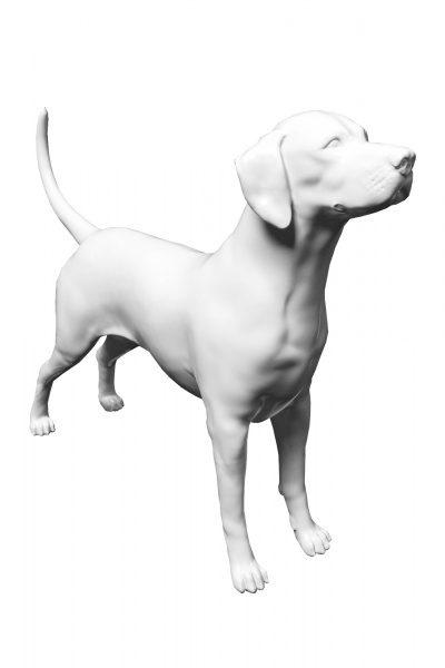 Манекен далматинца \ Dog-007