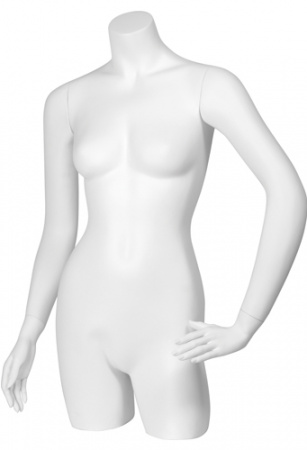 Торс женский удлиненный \ C-05