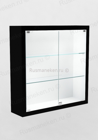 Музейная витрина \ VP-1