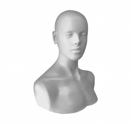 Бюст женский \ Zhg-02