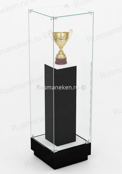 Музейная витрина \ VMP-1