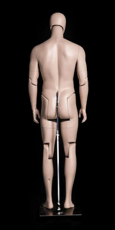 Мужской шарнирный манекен \ Sharnir-01M