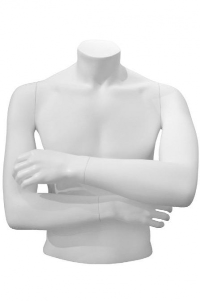 Торс мужской укороченный \ STILE NS 100