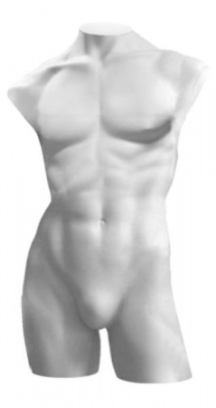 Торс мужской удлиненный \ BLTM-09