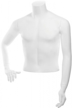 Торс мужской укороченный \ C-13, Белый матовый