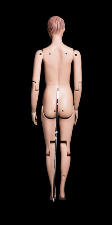 Женский шарнирный манекен \ Sharnir-FM01