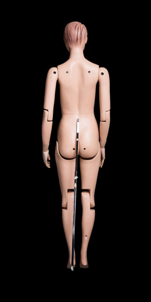 Женский шарнирный манекен \ Sharnir-FM01