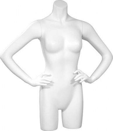 Торс женский удлиненный \ C-27